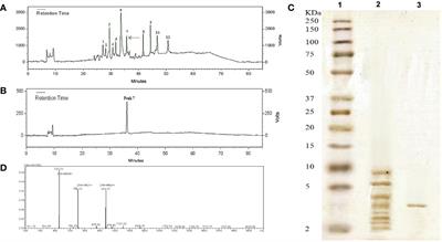 Characterization, Biological Activity, and Mechanism of Action of a Plant-Based Novel Antifungal Peptide, Cc-AFP1, Isolated From Carum carvi